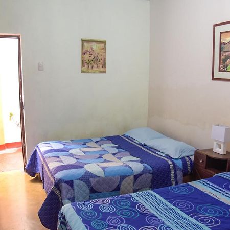 Brabant Hostal Nazca Exterior photo